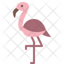پیش‌نمایش فایل flamingo-4563160 از پک حیوانات وحشی