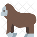 پیش‌نمایش فایل gorilla-4563169 از پک حیوانات وحشی