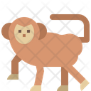 پیش‌نمایش فایل monkey-4563158 از پک حیوانات وحشی