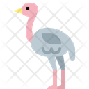پیش‌نمایش فایل ostrich-4563168 از پک حیوانات وحشی