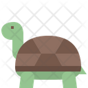 پیش‌نمایش فایل turtle-4563173 از پک حیوانات وحشی