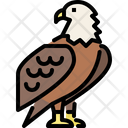 پیش‌نمایش فایل eagle-4563105 از پک حیوانات وحشی