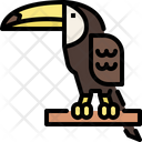 پیش‌نمایش فایل toucan-4563113 از پک حیوانات وحشی