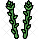 پیش‌نمایش فایل asparagus-4589682 از پک سبزیجات