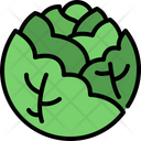 پیش‌نمایش فایل cabbage-4589692 از پک سبزیجات