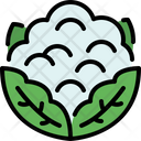 پیش‌نمایش فایل cauliflower-4589697 از پک سبزیجات