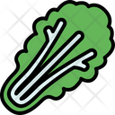 پیش‌نمایش فایل lettuce-4589693 از پک سبزیجات