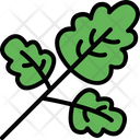 پیش‌نمایش فایل parsley-4589694 از پک سبزیجات