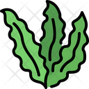 پیش‌نمایش فایل seaweed-4589707 از پک سبزیجات