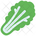 پیش‌نمایش فایل lettuce-4589723 از پک سبزیجات