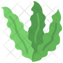 پیش‌نمایش فایل seaweed-4589737 از پک سبزیجات