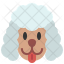 پیش‌نمایش فایل poodle-4573762 از پک نژادهای سگ