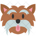 پیش‌نمایش فایل yorkshire-terrier-4573757 از پک نژادهای سگ