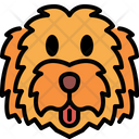پیش‌نمایش فایل labradoodle-4573738 از پک نژادهای سگ