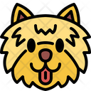 پیش‌نمایش فایل pomeranian-4573741 از پک نژادهای سگ
