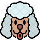 پیش‌نمایش فایل poodle-4573732 از پک نژادهای سگ