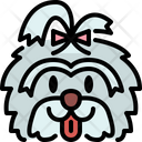 پیش‌نمایش فایل shih-tzu-4573728 از پک نژادهای سگ