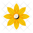 پیش‌نمایش فایل flower-1682 از پک طبیعت