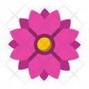 پیش‌نمایش فایل flower-1683 از پک طبیعت