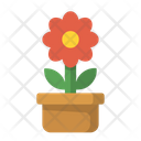 پیش‌نمایش فایل flowerpot-10 از پک طبیعت