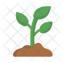 پیش‌نمایش فایل growing-24 از پک طبیعت