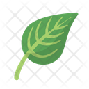 پیش‌نمایش فایل leaf-792 از پک طبیعت