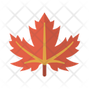 پیش‌نمایش فایل maple-leaf-54 از پک طبیعت