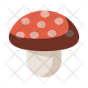پیش‌نمایش فایل mushroom-476 از پک طبیعت