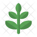 پیش‌نمایش فایل plants-15 از پک طبیعت