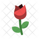 پیش‌نمایش فایل rose-267 از پک طبیعت