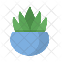 پیش‌نمایش فایل succulent-2 از پک طبیعت