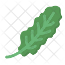 پیش‌نمایش فایل kale-4 از پک غذا