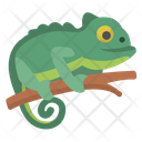 پیش‌نمایش فایل chameleon-1400431 از پک حیوانات