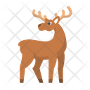 پیش‌نمایش فایل deer-1400427 از پک حیوانات