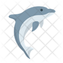 پیش‌نمایش فایل dolphin-1400425 از پک حیوانات