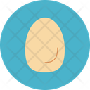 پیش‌نمایش فایل egg-13006694 از پک غذا