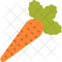 پیش‌نمایش فایل carrot-6042785 از پک خواربار