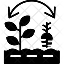 پیش‌نمایش فایل crop-rotation-6116899 از پک کشاورزی