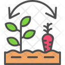 پیش‌نمایش فایل crop-rotation-6116772 از پک کشاورزی