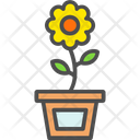 پیش‌نمایش فایل flower-pot-6116771 از پک کشاورزی