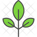 پیش‌نمایش فایل herb-6116726 از پک کشاورزی