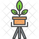پیش‌نمایش فایل houseplant-6116767 از پک کشاورزی