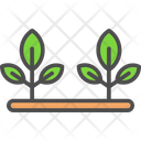 پیش‌نمایش فایل plant-6116759 از پک کشاورزی