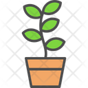 پیش‌نمایش فایل potted-plant-6116695 از پک کشاورزی