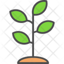 پیش‌نمایش فایل tree-6116697 از پک کشاورزی