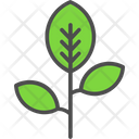 پیش‌نمایش فایل tree-branch-6116727 از پک کشاورزی