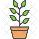 پیش‌نمایش فایل tree-pot-6116699 از پک کشاورزی