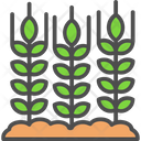 پیش‌نمایش فایل wheat-plant-6116763 از پک کشاورزی
