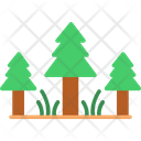 پیش‌نمایش فایل evergreen-forest-6283416 از پک کمپینگ