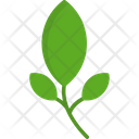 پیش‌نمایش فایل leaf-6283367 از پک کمپینگ